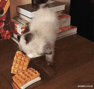 钟丽缇|钟丽缇直播秀身材,穿裸色跳操被嘲,工作人员递衣服救场!