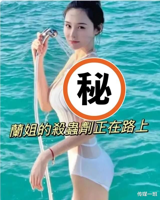 张兰|张颖颖负责张兰直播间的商务业务？这一切都是她们自导自演的吗