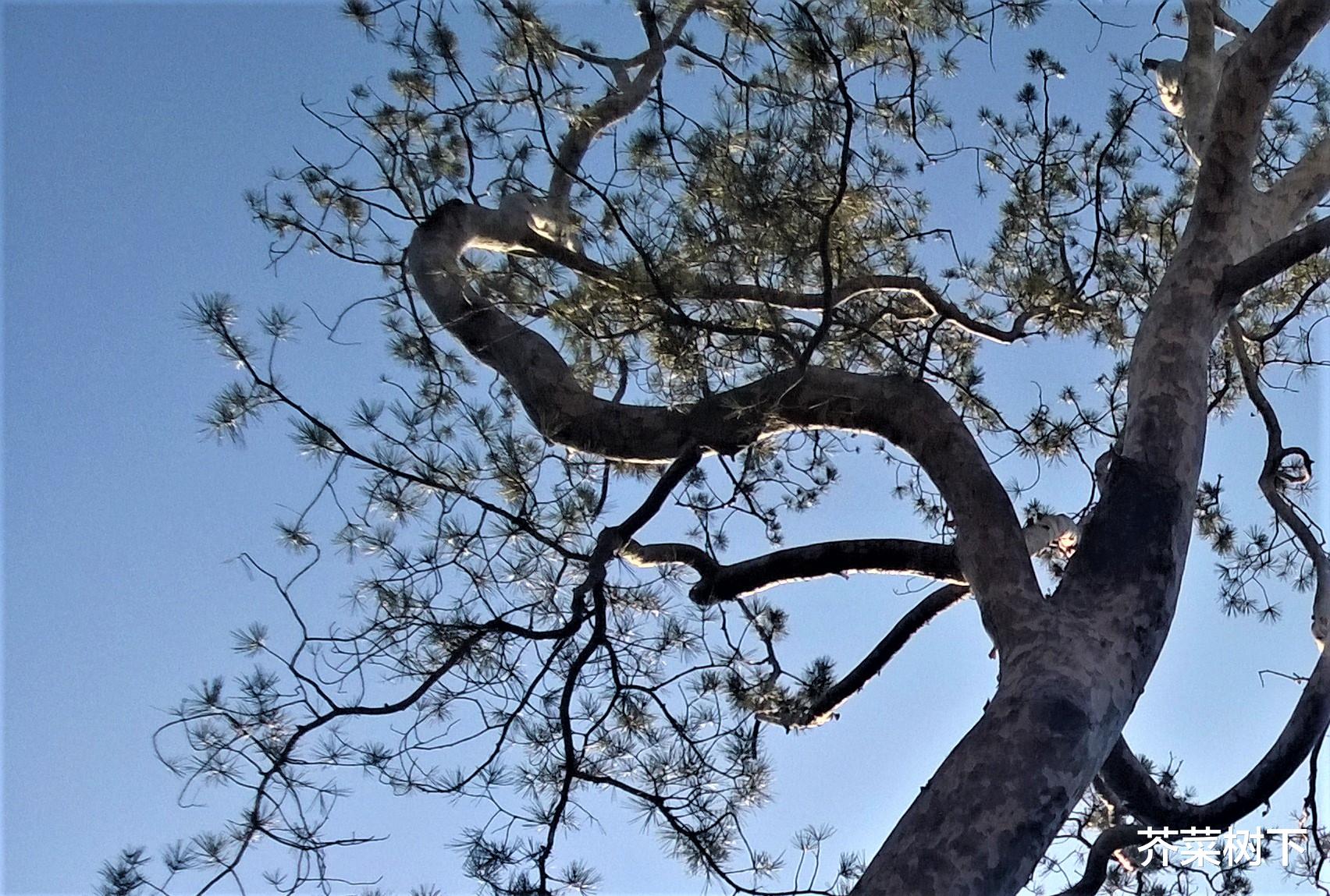 |关系原子化?别做职场独行侠