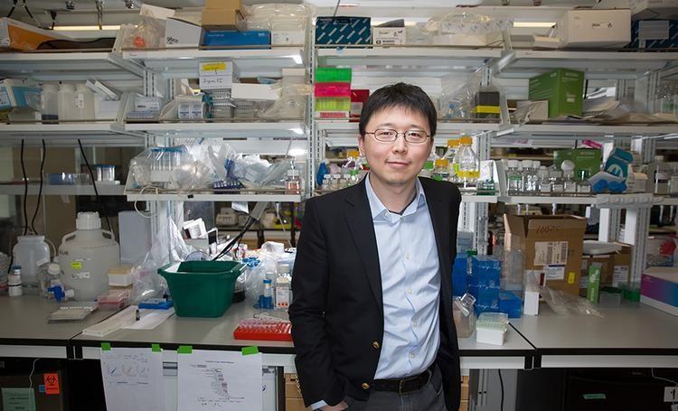华裔科学家胜出!基因技术“上帝剪刀”争夺结束,幕后惊现投名状