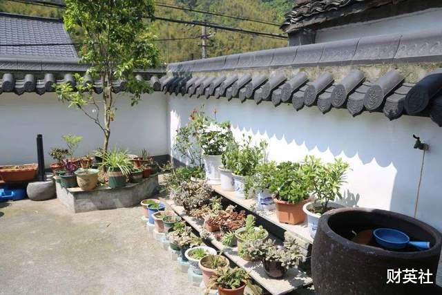 宅基地|村民为什么不愿意“村村合并”？搬进楼房不好吗？有4个现实原因