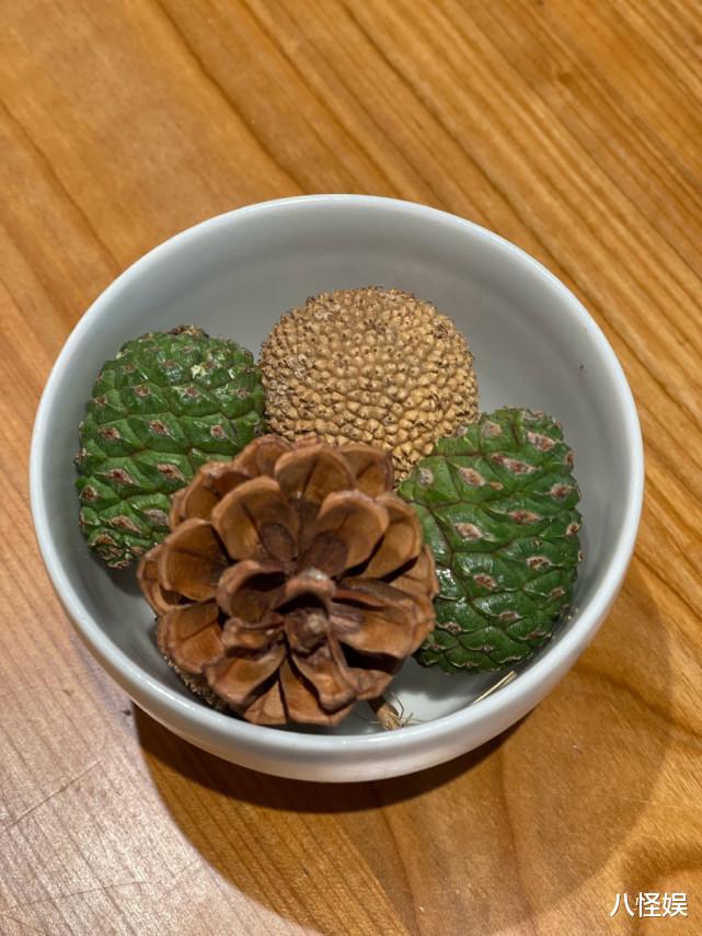 姚晨|姚晨带儿女骑行，土豆贴心为妹妹戴头盔，兄妹俩散文式对话超温馨