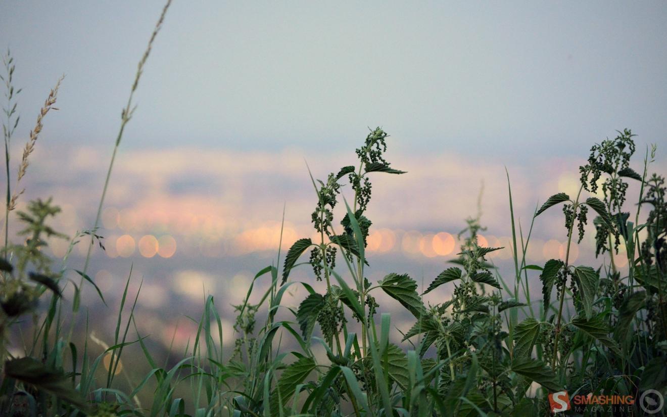|人际交往,如何与优秀领导打交道?