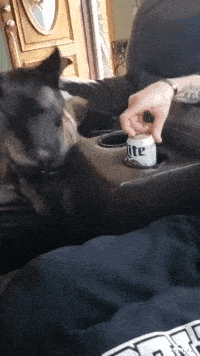 “女朋友当年是班里的班长,当看到她17岁的照片时,这是帮主叭?”