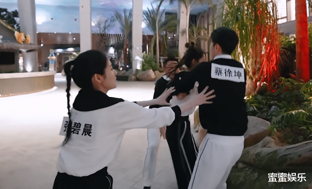 张碧晨|张碧晨是不是真的单纯?白鹿的话和一个眼神,已经说明了一切