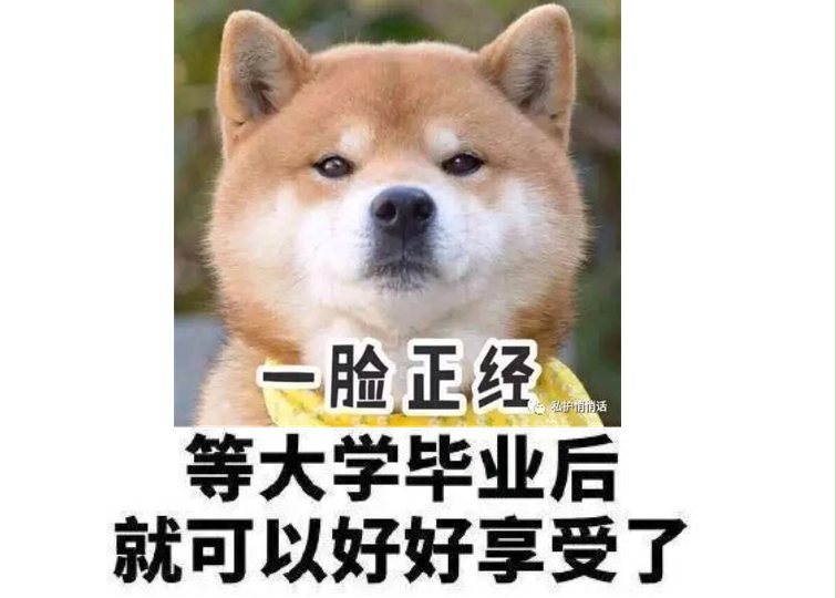 00后|00后初入职场，一组“梗图”对比毕业前后状态，一整个人笑不活了