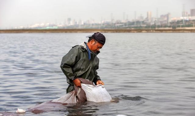 运城盐湖|中国的“死海”：运城盐湖开发4600年，如今为何“退盐还湖”？