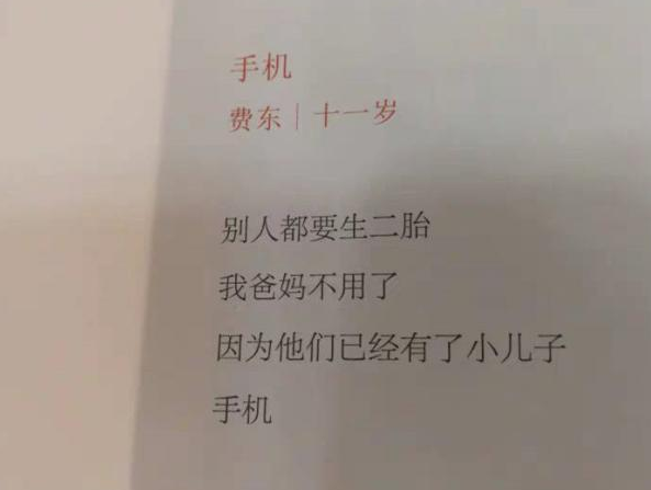 |小学生“打油诗”走红，网友直呼有才，就是感觉这股聪明劲用偏了