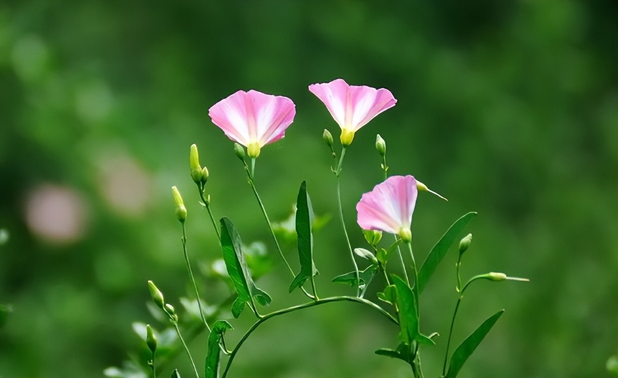 退休|退休时,人品好的人,会体面地告别“圈子”