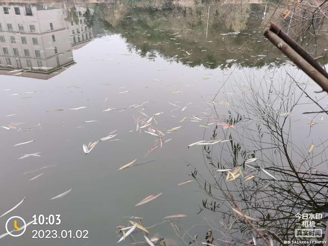 饵料|2023年第一钓,酣畅淋漓!