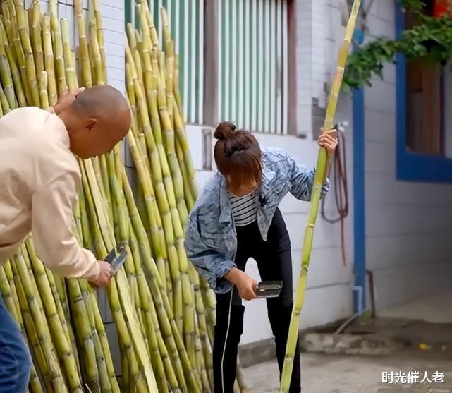 甘蔗|网红严素穿露脐装砍甘蔗，弯腰时后背露出引争议，网友：建议封杀