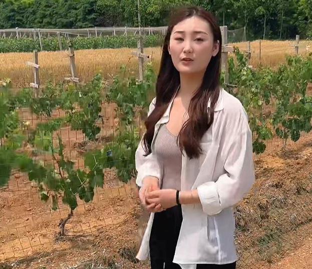 陈亚男|陈亚男为防“买买退”再出新招,放弃“助农”直播,改卖电话卡