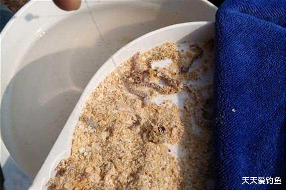宝石研物语|野钓鲫鱼，3个最强“钓鱼技巧”，用好了这些招数，别人抢不过你