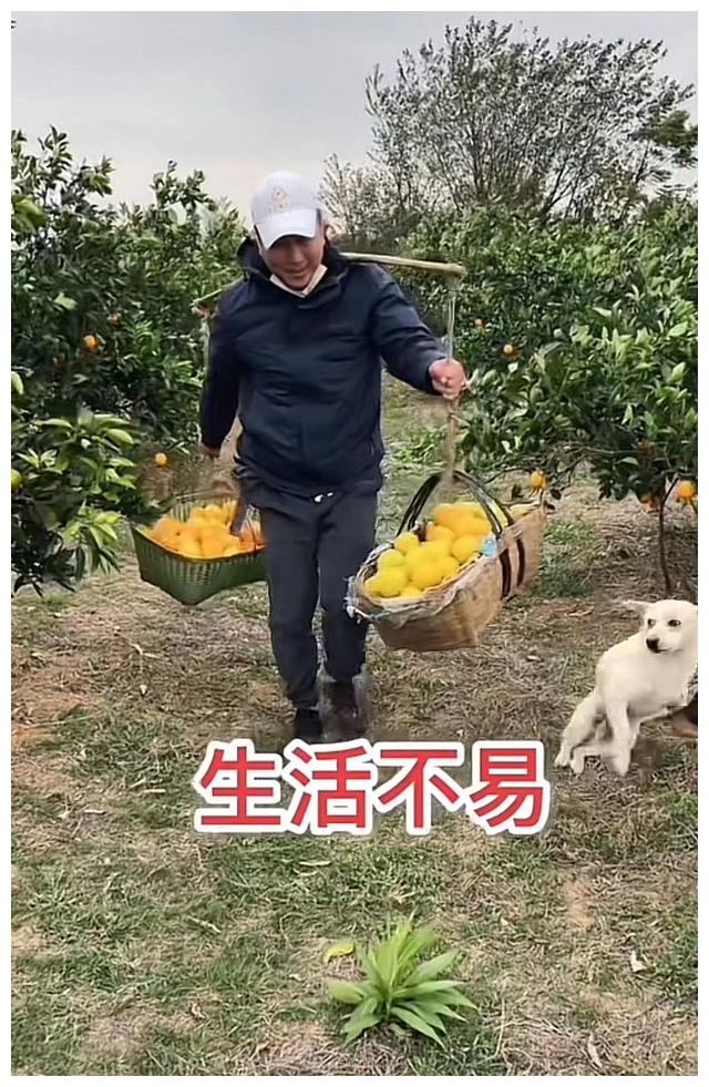 唐国强消瘦腿脚僵硬！与网红握手后反复擦手，被指嫌弃对方引争议