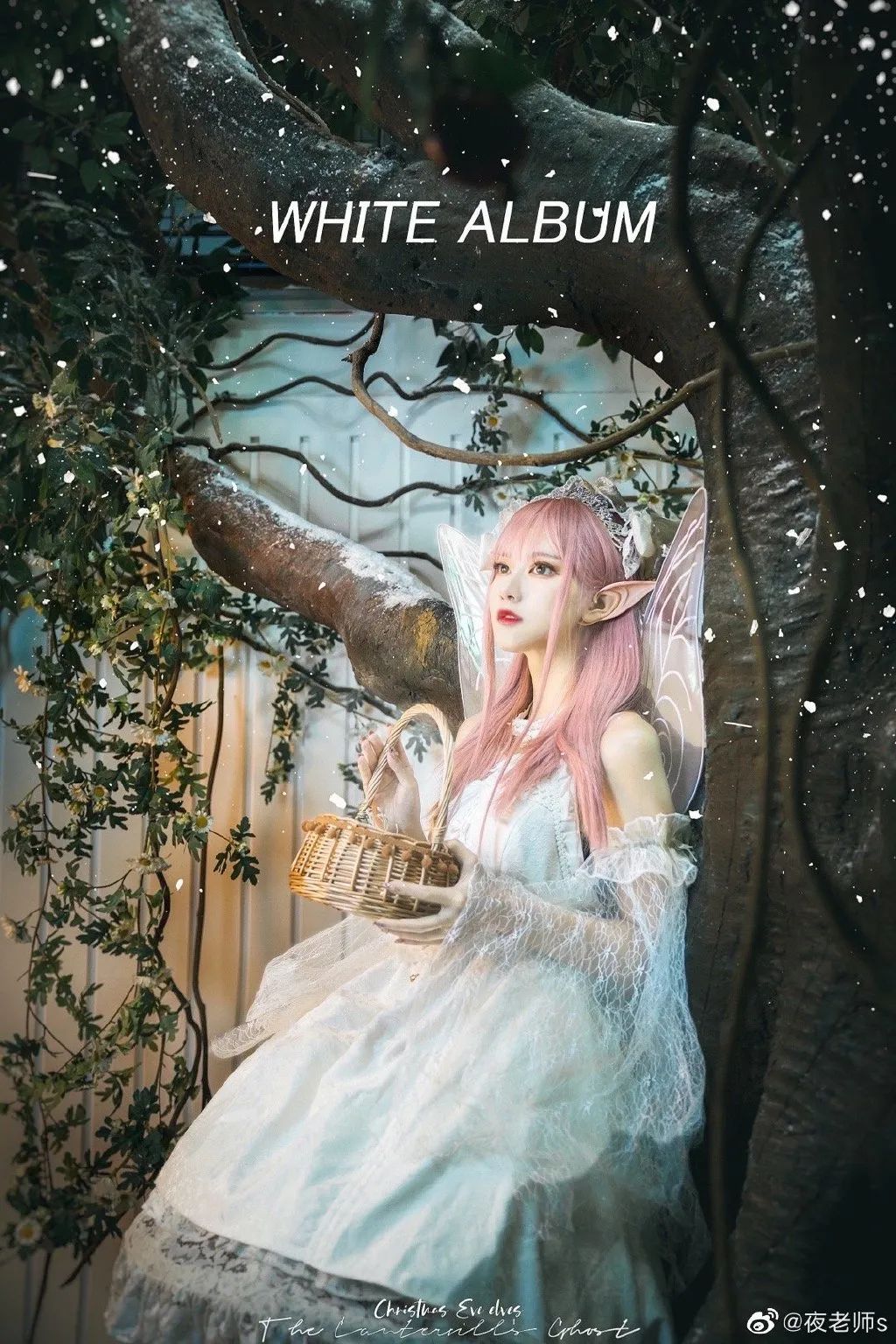 Lolita：纪念又到了白色相簿的时间