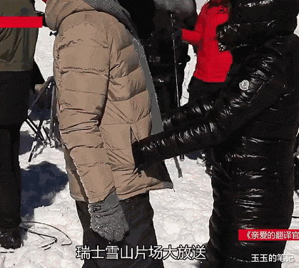 杨幂|“狐狸美人”杨幂的升级打怪史，小说都不敢这么写