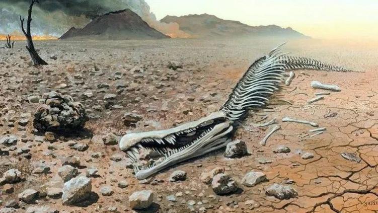 灭绝3万年生物重现，不止一例，为何消失已久物种能再次出现