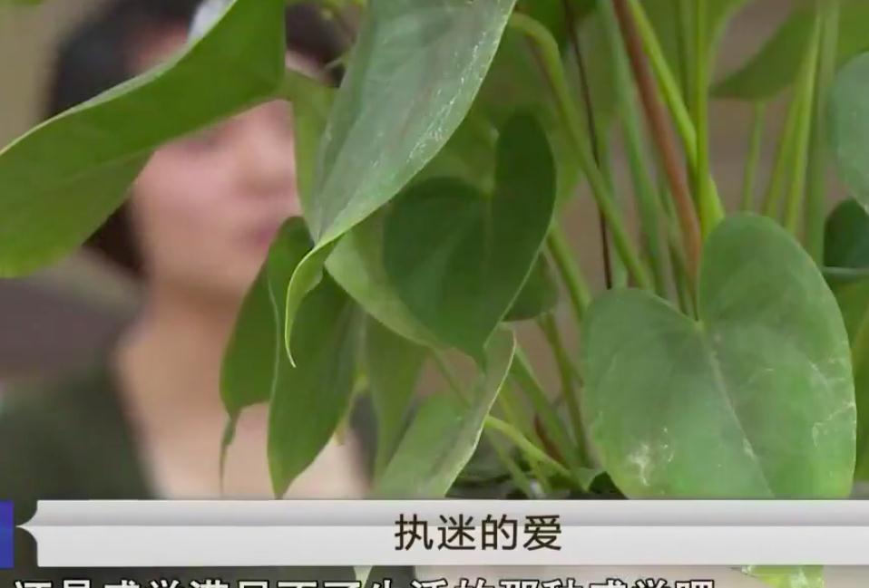 2016年24岁女子为离婚,和情夫拍不雅视频发给丈夫,情夫命悬一线