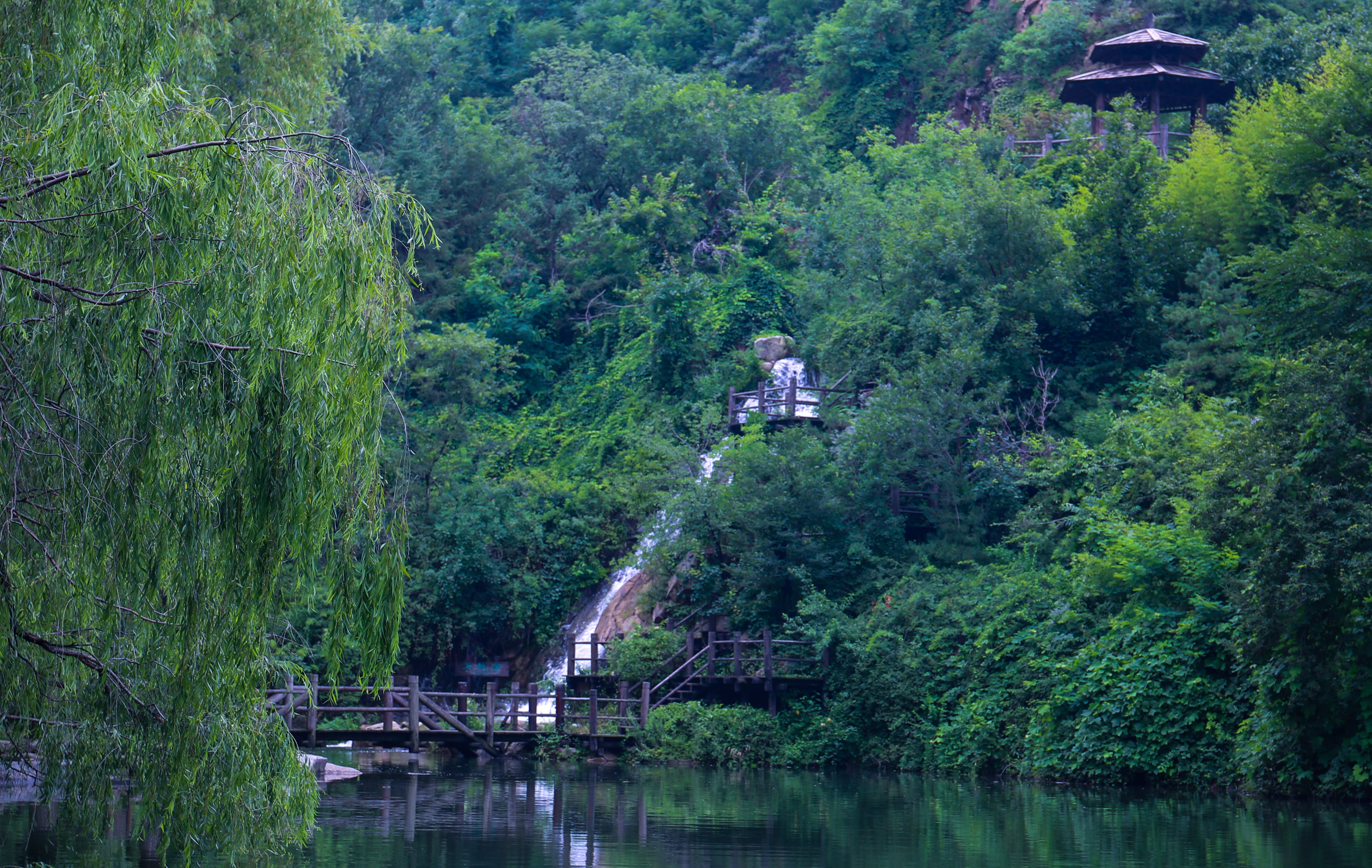 露营|出游指南 | 这里简直是夏天避暑的度假天堂