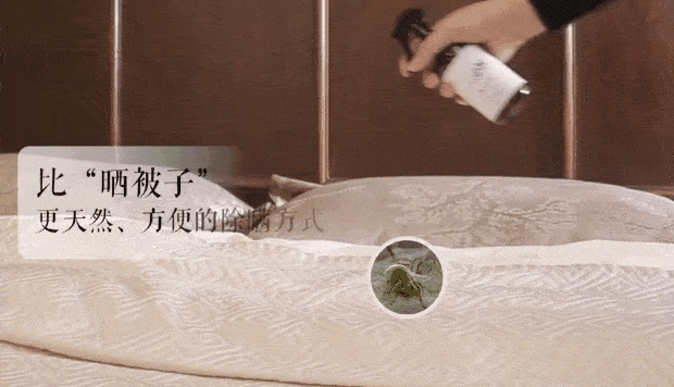 床垫睡久了“螨虫”扎堆爬,用2片叶子,不晒不洗,螨虫跑光光!
