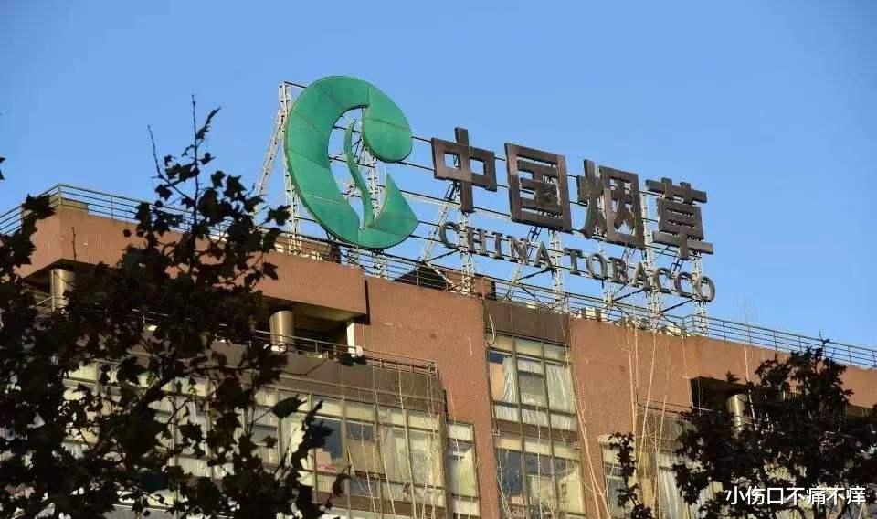 烟草局年薪超20万,为何大多数人都进不去?过来人揭露了真相!