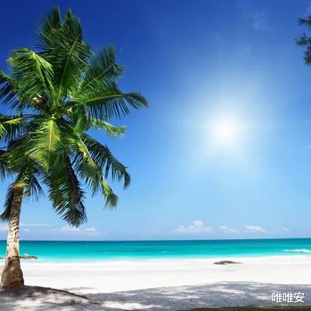 中成药|世间最好的养生,就四个字