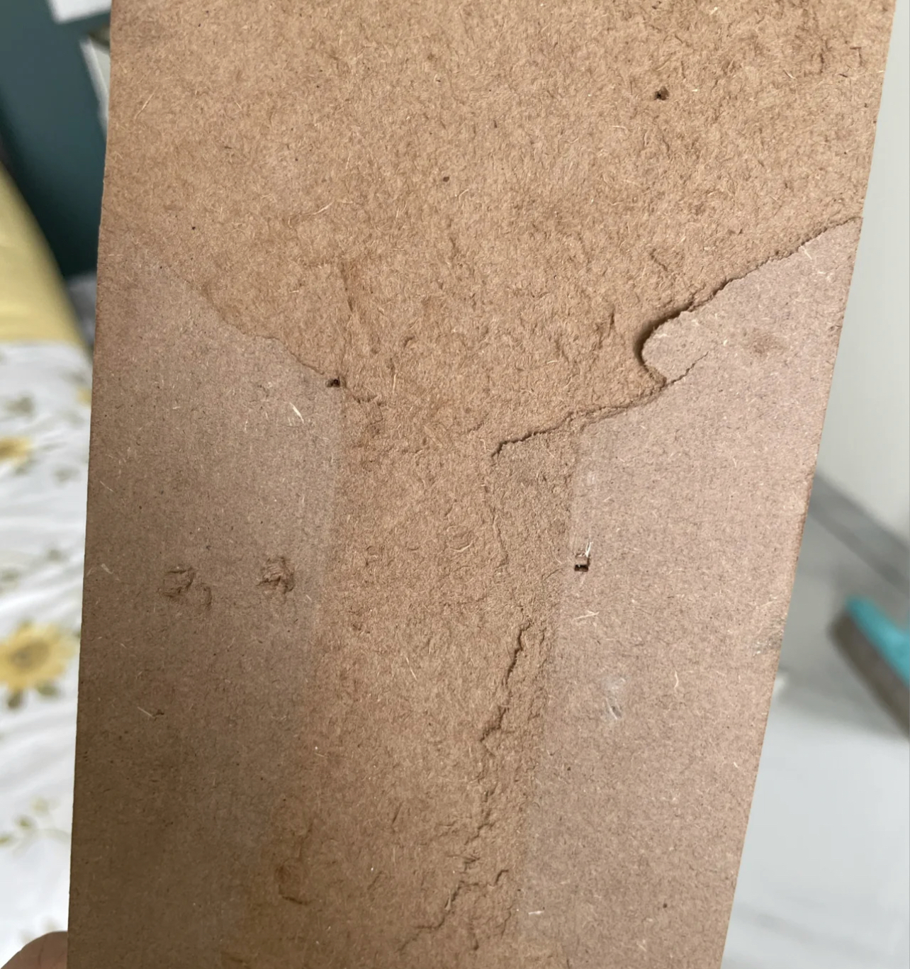 盘点那些“隐蔽的甲醛释放源”,可谓是防不胜防!