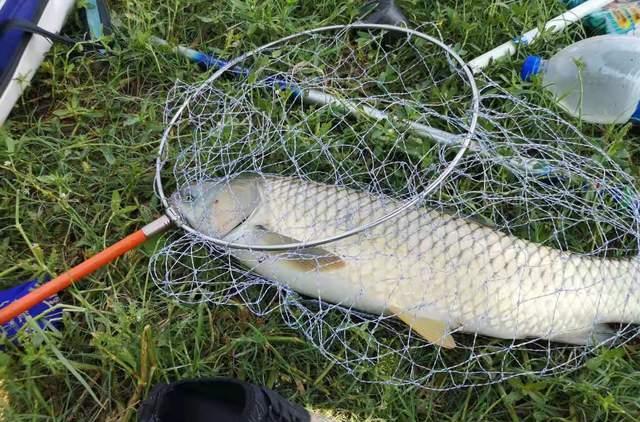 |野钓，你得经营自己的自留地！才能不被打扰钓过瘾，攻略分享