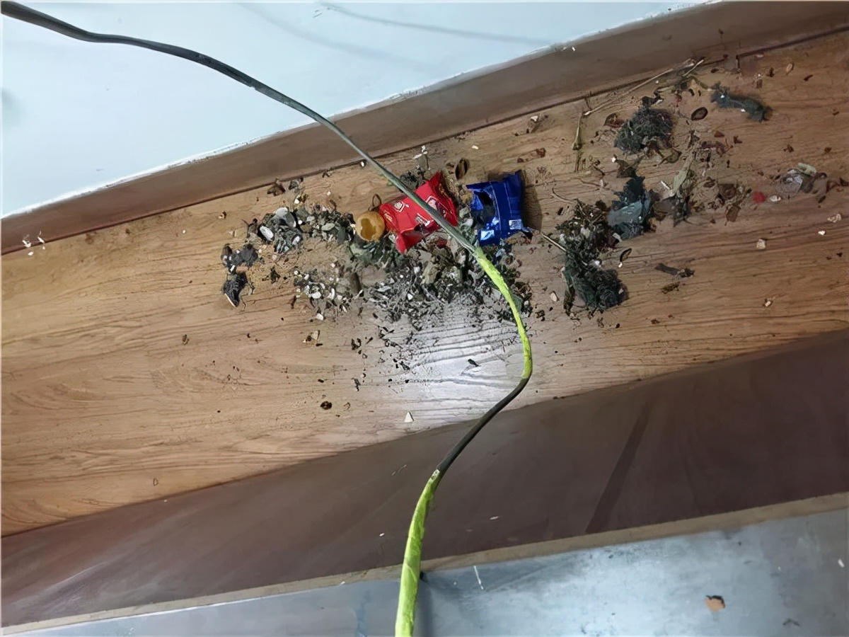 过来人总结的装修教训，不仅烧钱还添堵，让人有苦说不出