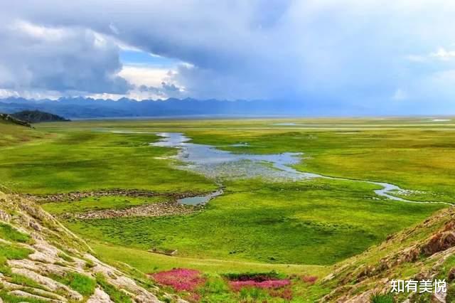 黑龙江|国内值得去的六大沼泽湿地,每个都美得与众不同,你去过几个呢?