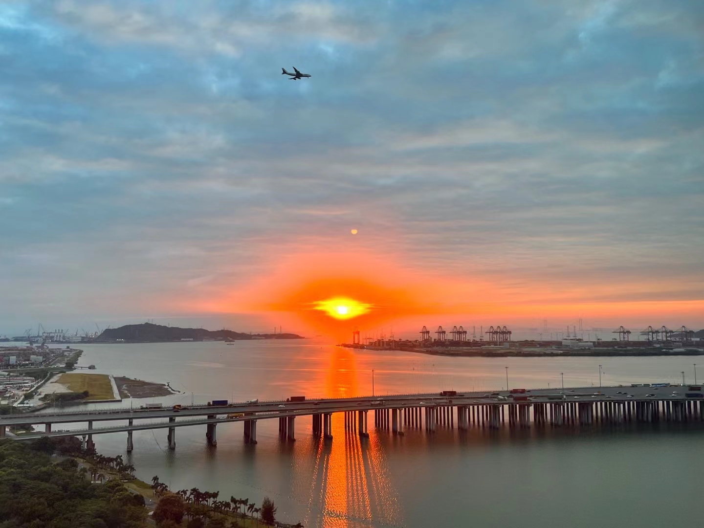 蛋白质|?绿藻(小球藻)的营养特性(上)