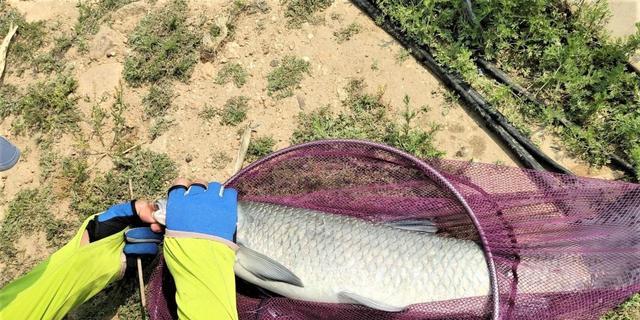 饵料|钓鱼怎样选择浮漂?如何调漂才算“合理”?