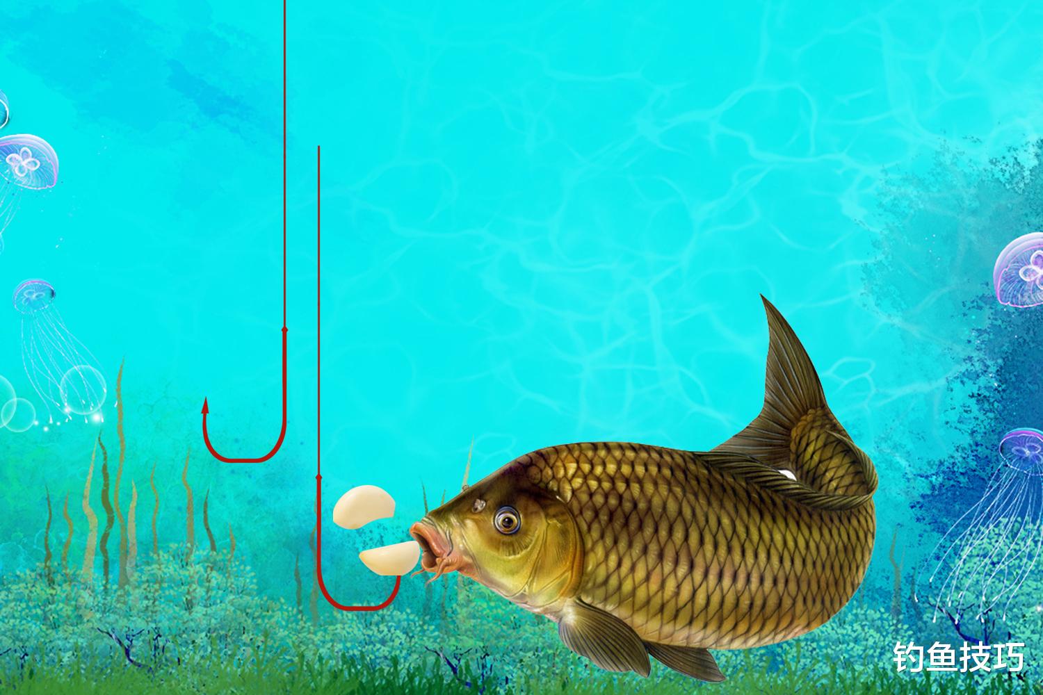 |突发奇想的鱼饵，钓鱼效果到底如何？特殊鱼饵的钓鱼效果测试