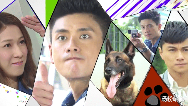 TVB|2023年8部TVB巡礼剧曝光,陈法蓉陈浩民惊喜亮相,你最期待哪部?