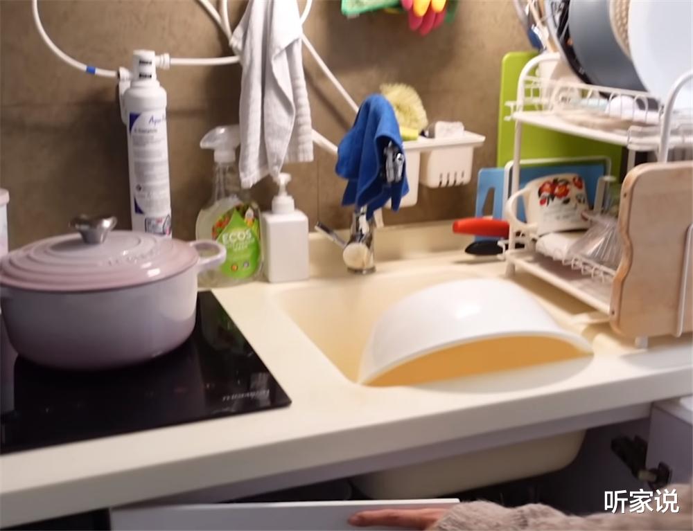 香港小夫妻住29㎡“纳米楼”:坐马桶上腿顶墙,两室一厅太逼仄