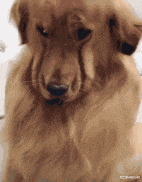 为啥KTV的卫生间里要放一个沙发,有啥用途啊?