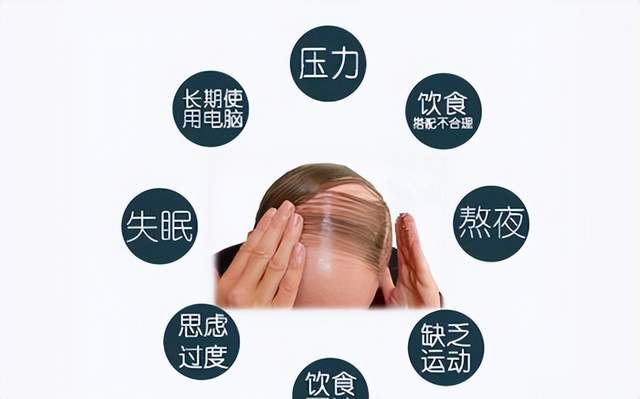 脱发|你掉的不是头发,是气血!一个仙方两味药,补血凉血,生发乌发