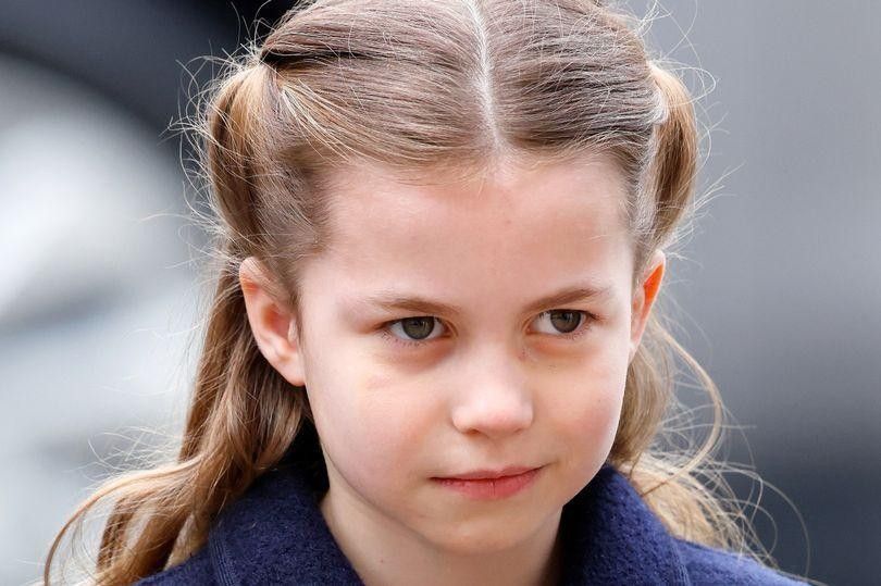 夏洛|夏洛特小公主:身价超400亿,管完弟弟提醒哥哥,气场太强像女王