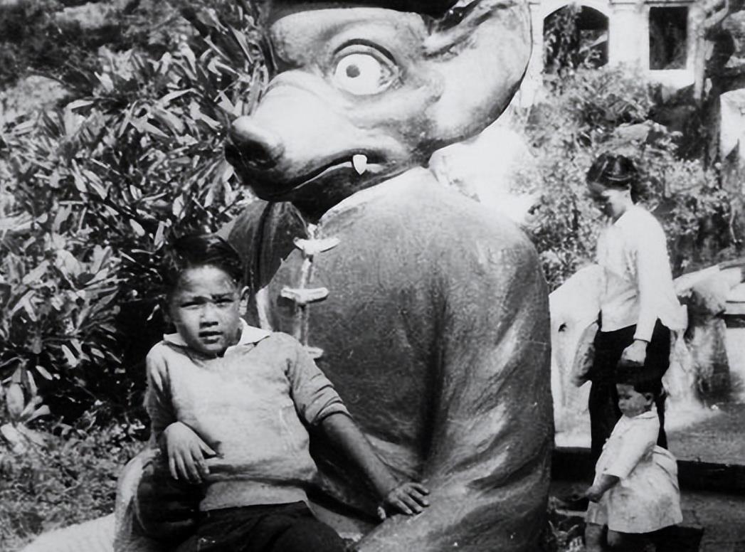 林嘉华|演员林嘉华:为家庭放弃事业,和妻子结婚38年,儿子比他还帅气