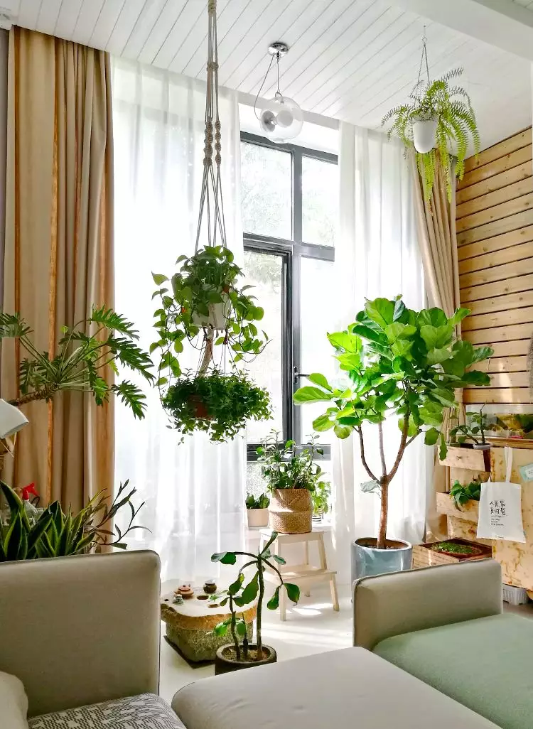 等我有房了,阳台才不要晾衣杆!学学有钱人这样装!