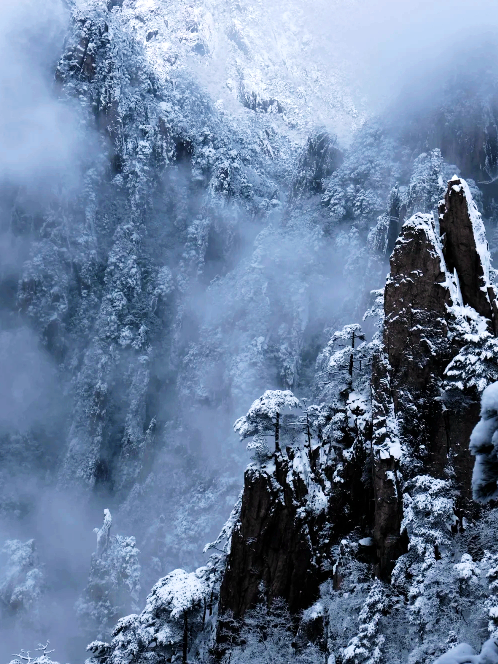 游山川|登黄山观雪景，山舞银蛇腾云驾雾，人生能有几回见