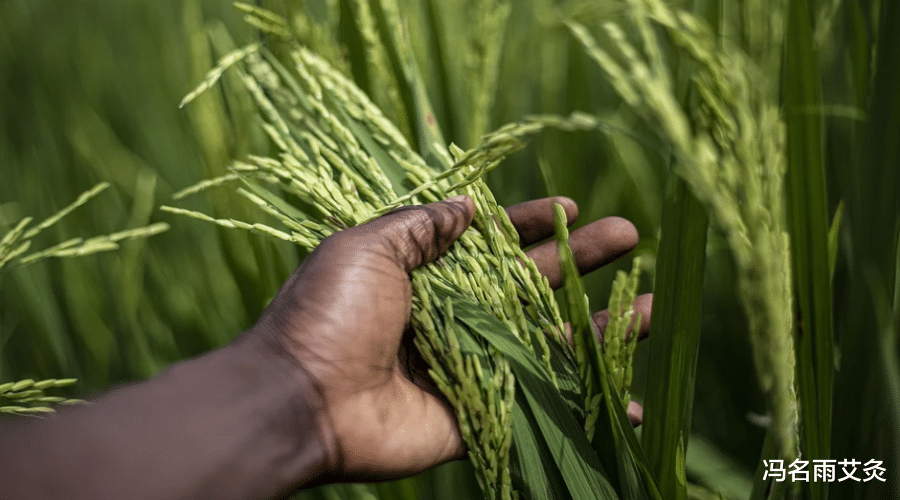 心血管疾病|排毒:最排毒的穴位是什么?教你排出食毒、气毒、水毒、血毒