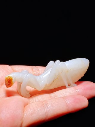 和田玉籽料|清 和田玉籽料 白玉 螳螂 把件摆件