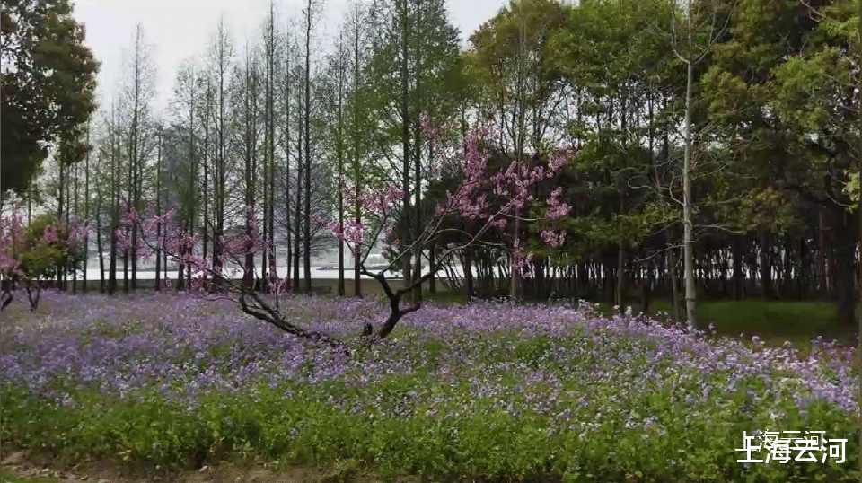 待过几天,天气暖和了,可以去尽情享受户外的自由和风景