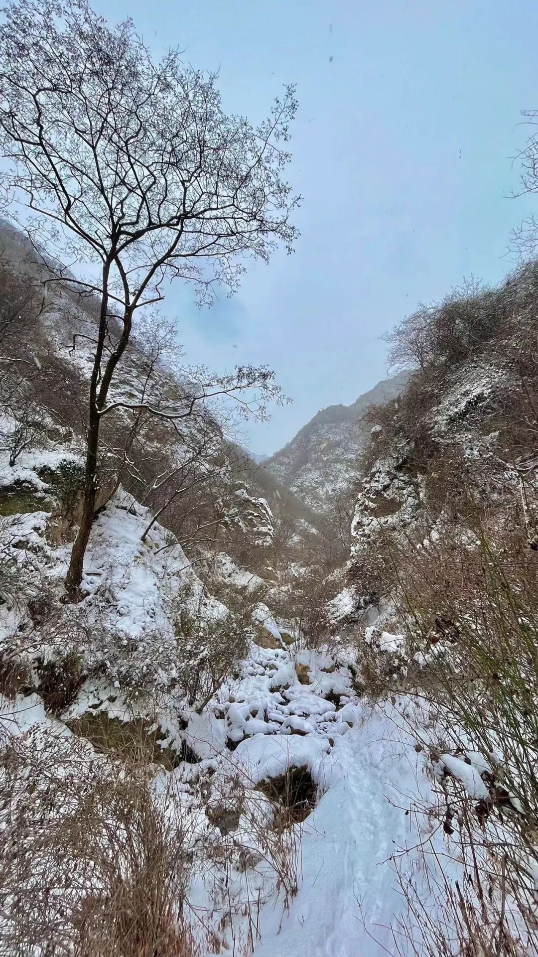 小年夜|小年夜，终南山有雪