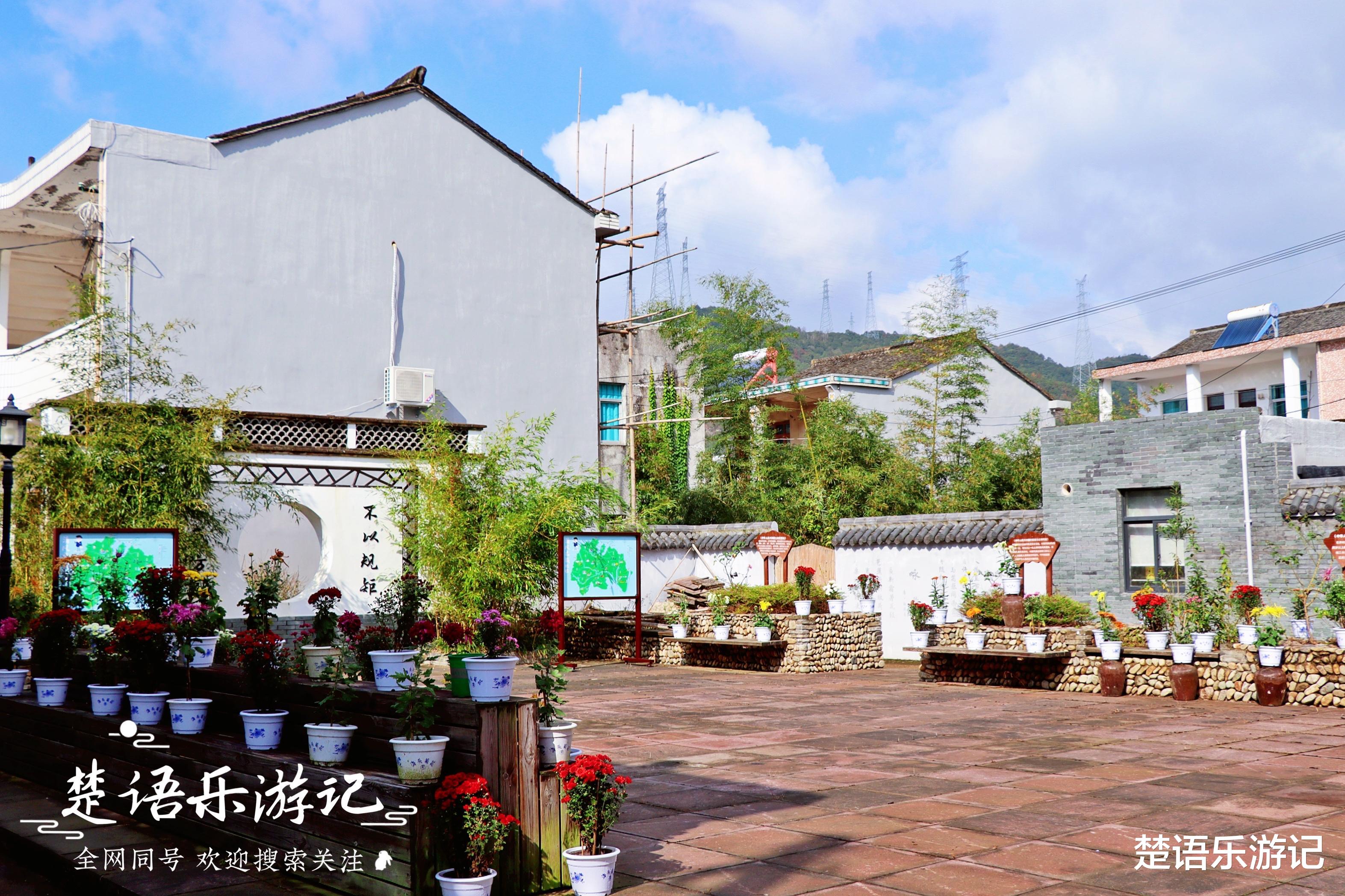 |宁海这个古村不愧为浙江3A级村庄,既古朴又清新,美如诗画田园