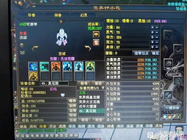 |天龙：3000资质的暴龙还称不上花瓶附体？小毛驴当附体才是真绝