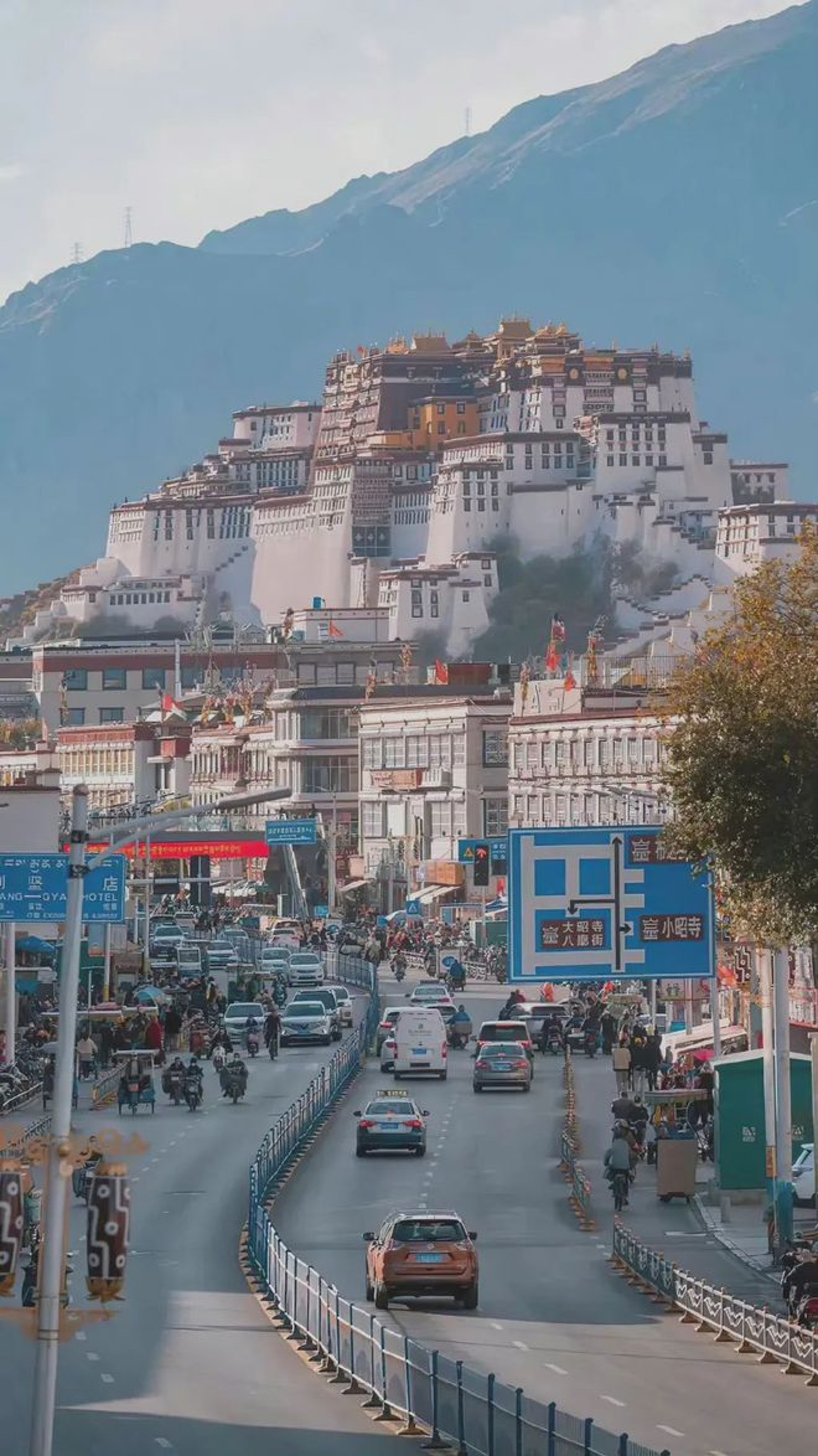 西藏|三年仅有一例新冠确诊，中国的这片净土为何能独善其身？