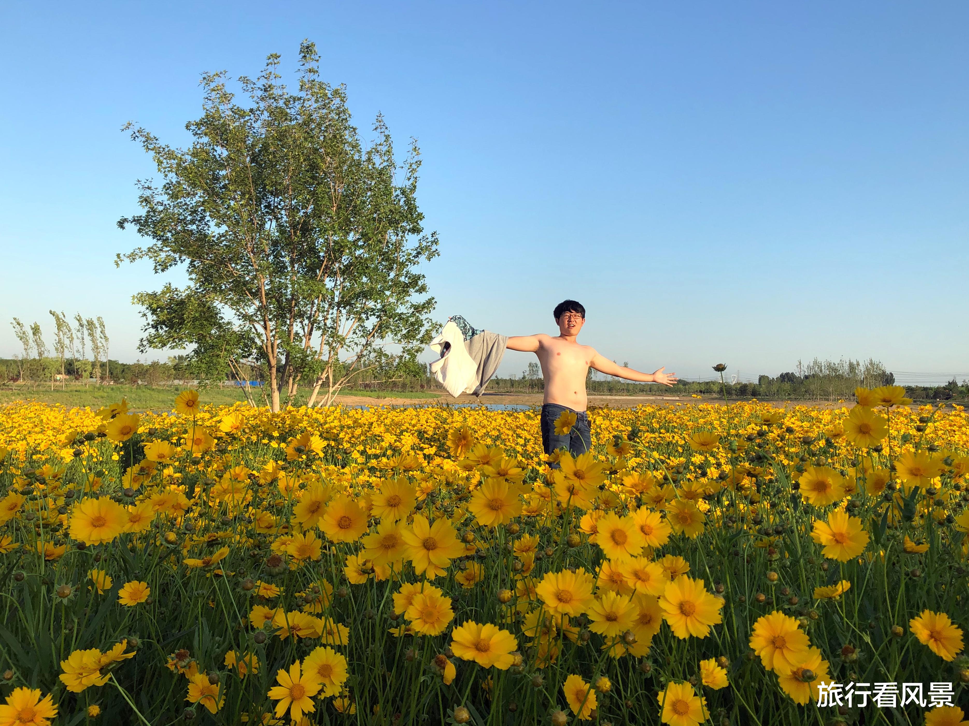|北京超大免费郊野公园，比2个奥森还要大，骑行赏花任性玩