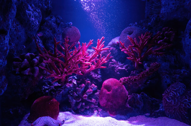 为什么海水越来越咸,河床越来越深?